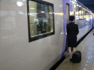 �S���ԗ��@�i�q�k�C���@�Ώ����@�L�n183�n�@�Ƃ����ʐ^